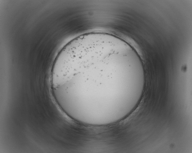 X0000101701428200808071148