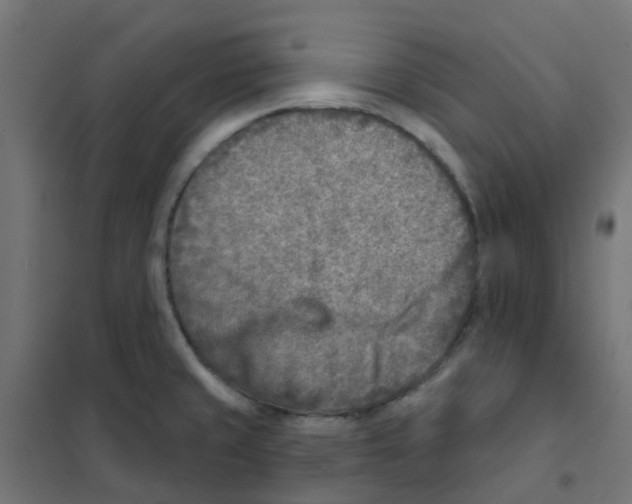 X0000101701429200808071148