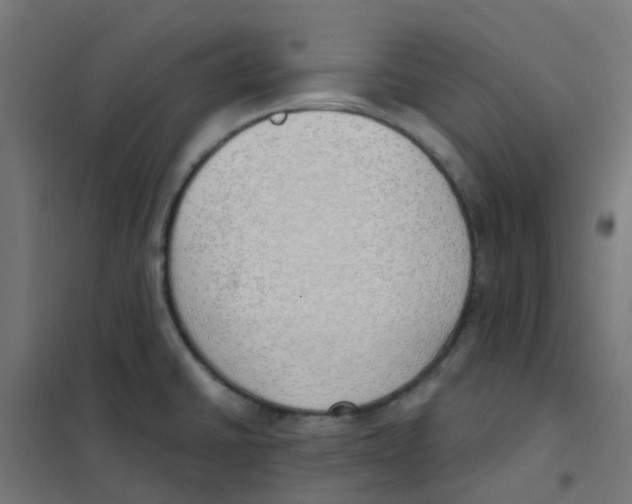 X0000101701430200808071148