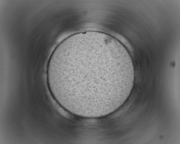 X0000101701431200808071148