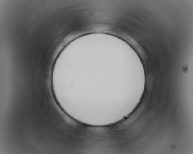 X0000101701432200808071148