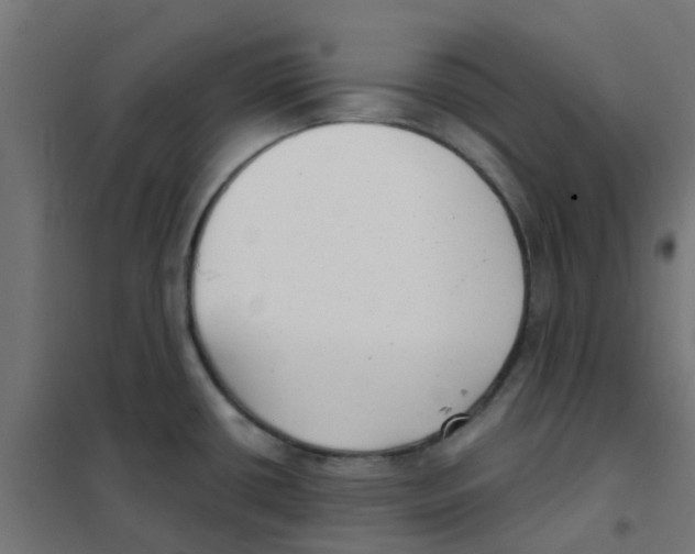 X0000101701434200808071148