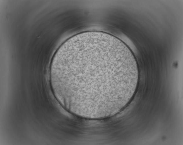 X0000101701436200808071148