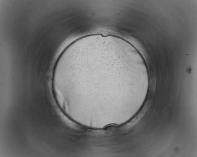 X0000101701438200808071148