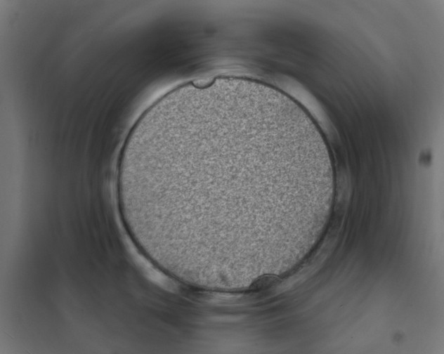 X0000101701439200808071148