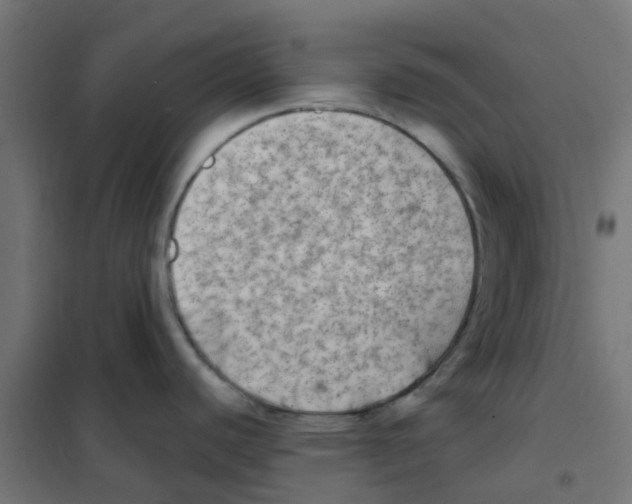 X0000101701440200808071148