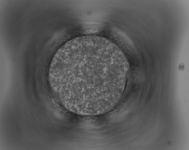 X0000101701441200808071147