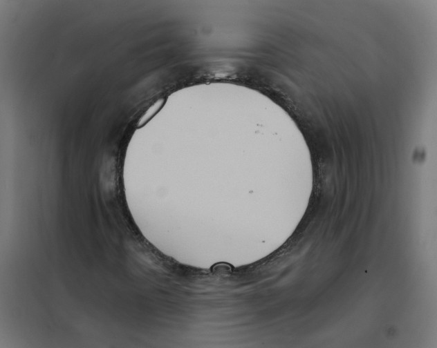 X0000101701442200808071147