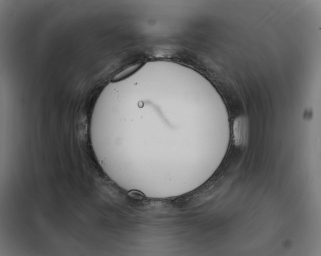 X0000101701443200808071147