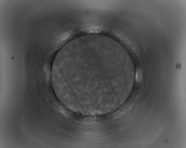 X0000101701444200808071147
