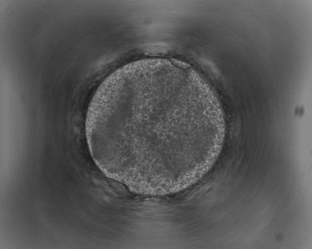 X0000101701445200808071147