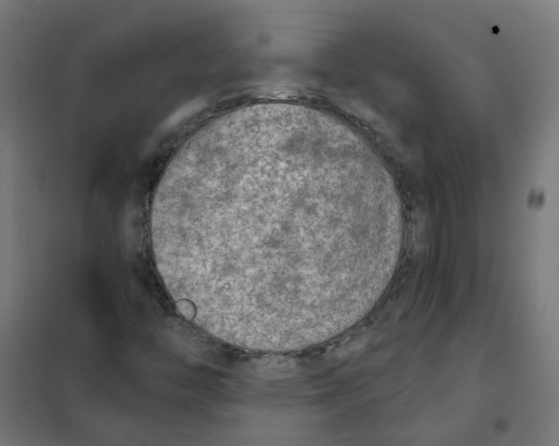 X0000101701446200808071147