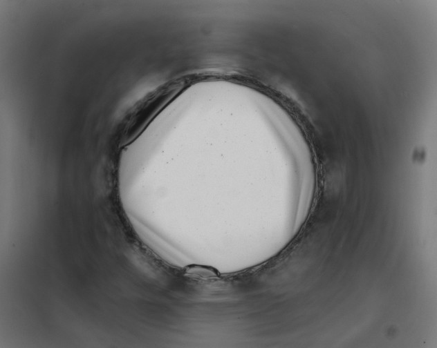 X0000101701448200808071147