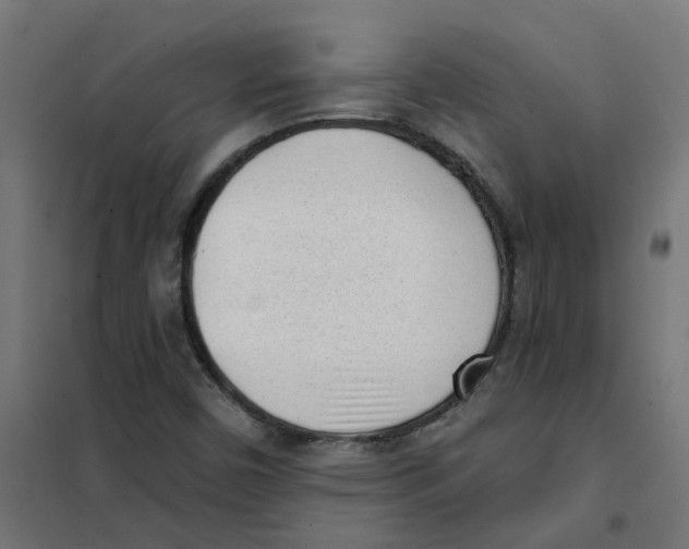 X0000101701450200808071147