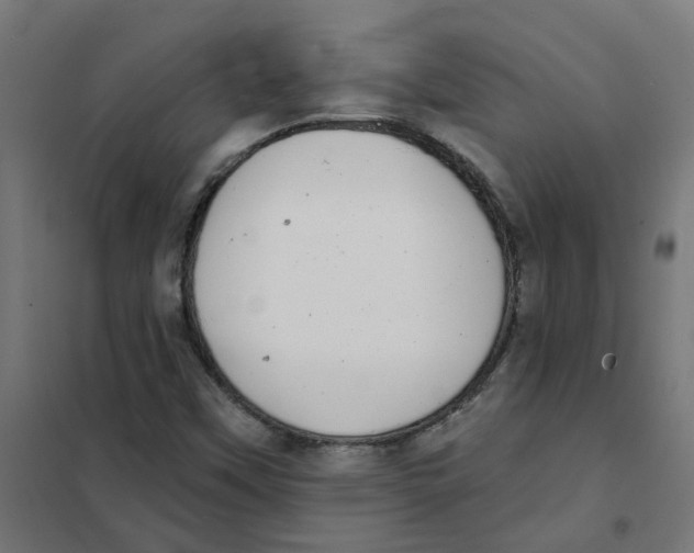 X0000101701451200808071147