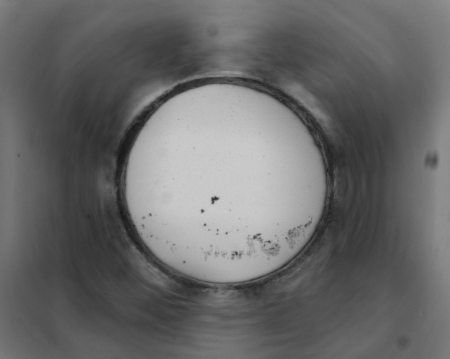 X0000101701452200808071147