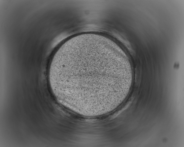 X0000101701453200808071147