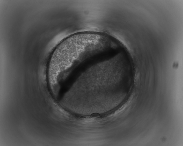 X0000101701455200808071147