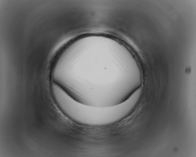 X0000101701456200808071147