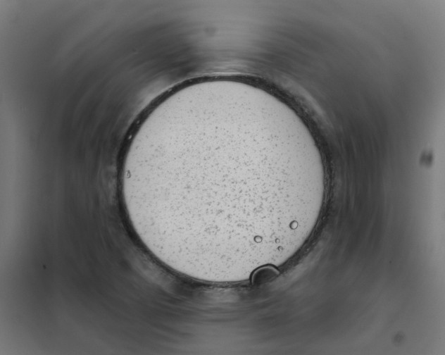 X0000101701457200808071147