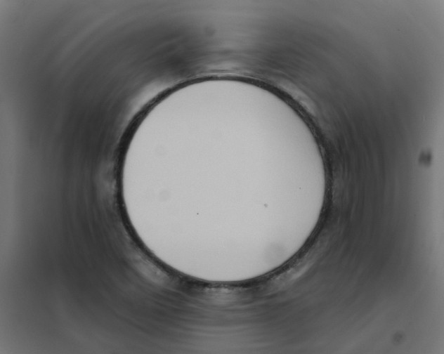 X0000101701458200808071147