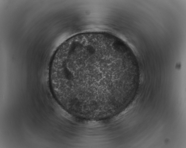 X0000101701459200808071147