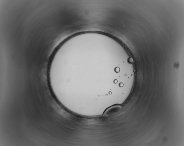 X0000101701460200808071147