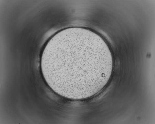 X0000101701461200808071147