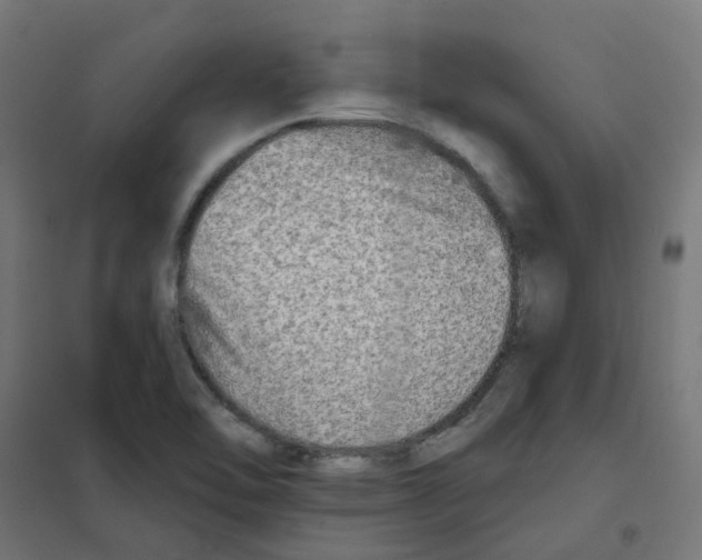 X0000101701462200808071147