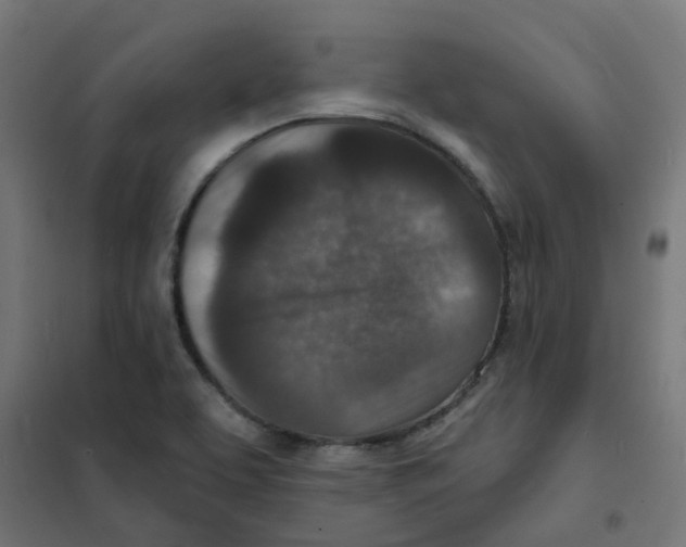 X0000101701463200808071147