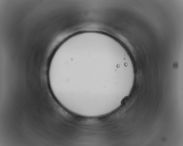 X0000101701464200808071147