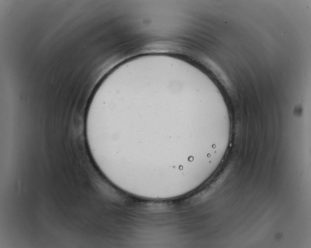X0000101701465200808071147