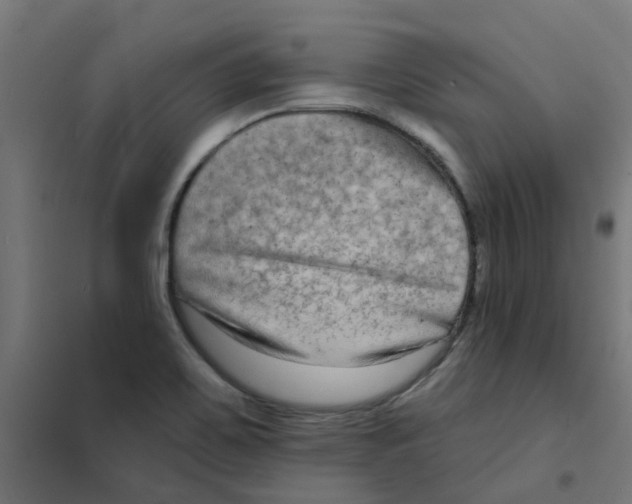 X0000101701467200808071147