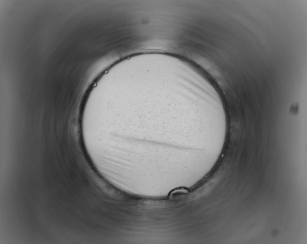 X0000101701469200808071147