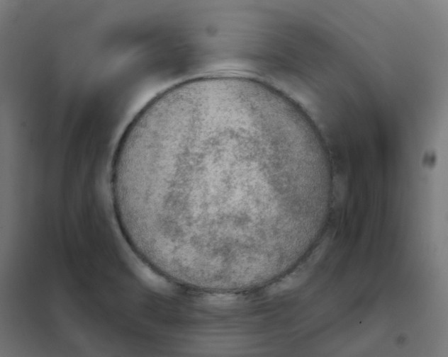X0000101701470200808071147