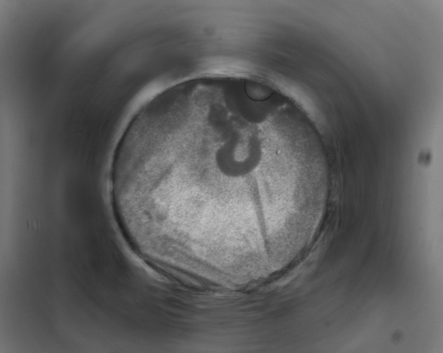 X0000101701471200808071147
