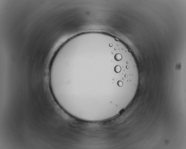 X0000101701472200808071147