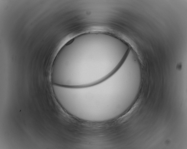 X0000101701473200808071147