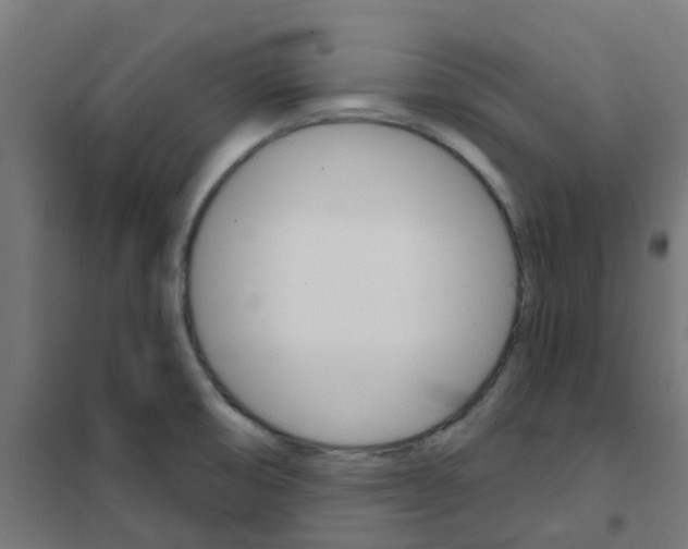 X0000101701474200808071147