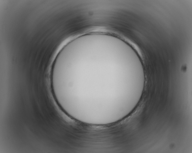 X0000101701475200808071147