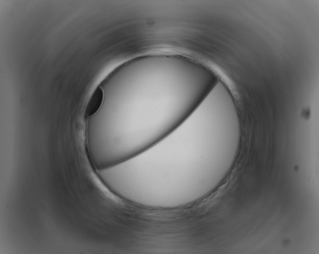 X0000101701476200808071147