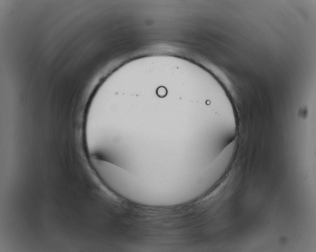 X0000101701477200808071147