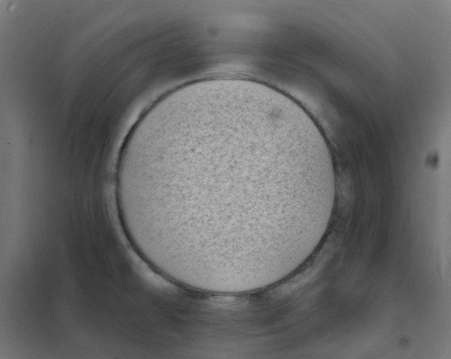 X0000101701478200808071146