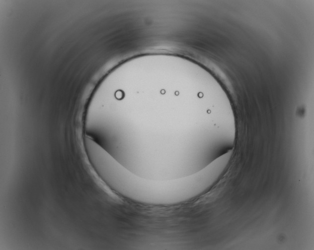 X0000101701480200808071146