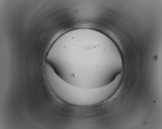 X0000101701481200808071146