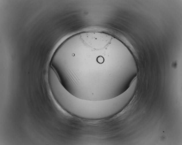 X0000101701484200808071146