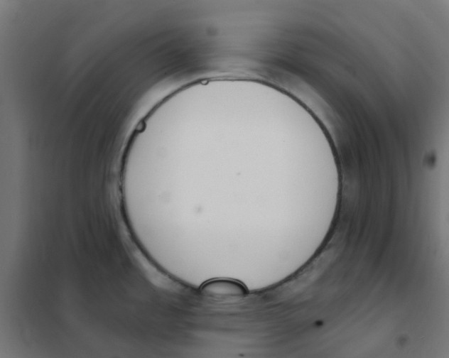 X0000101701485200808071146