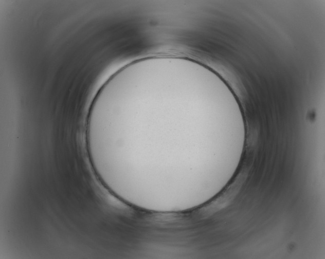 X0000101701486200808071146