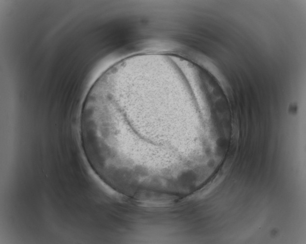 X0000101701487200808071146
