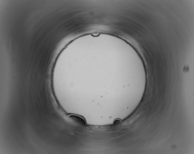 X0000101701488200808071146